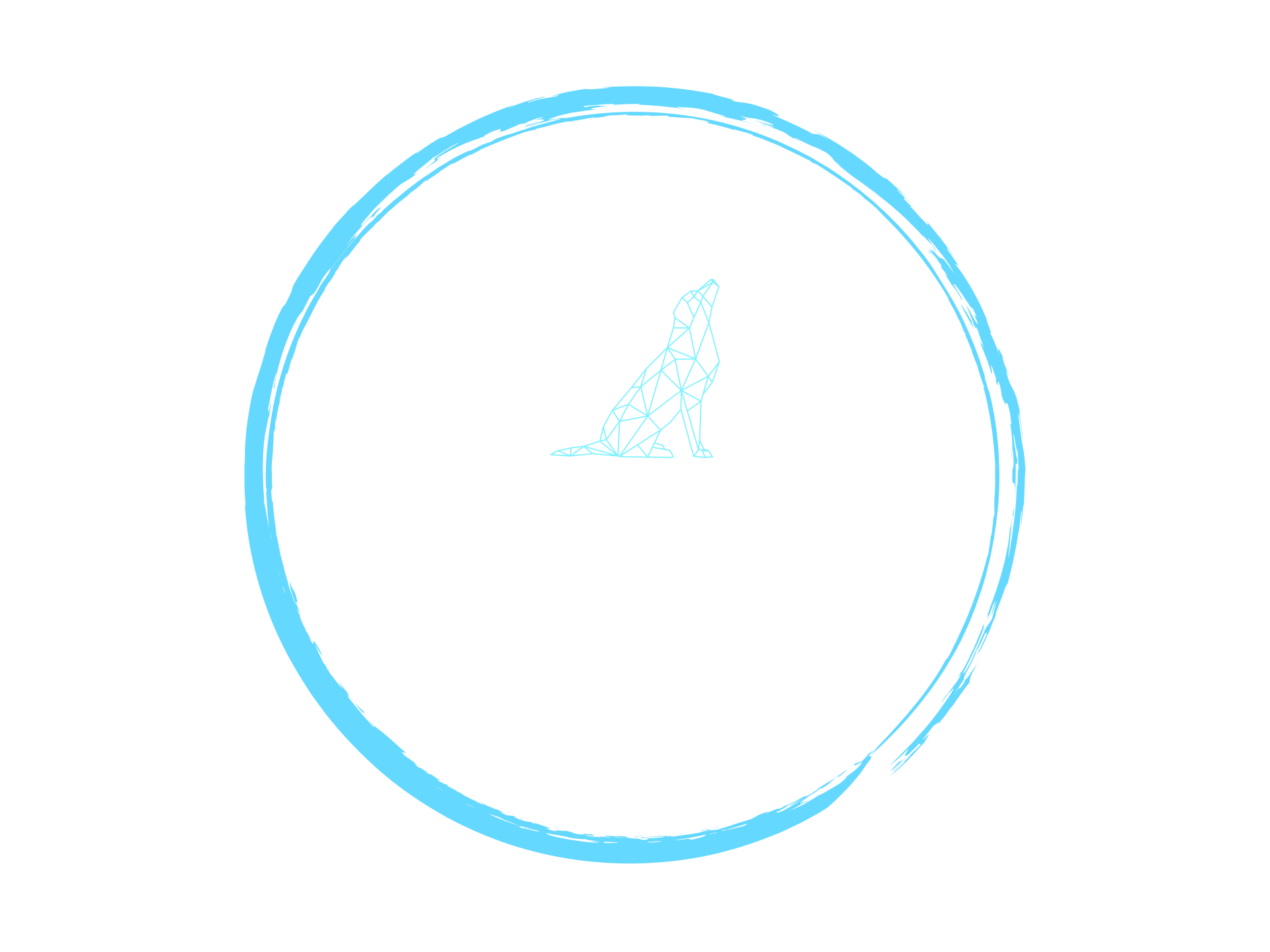 Ohana Pet Care
